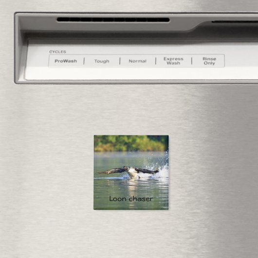Loon chaser Magnet (In Situ (Geschirrspüler))