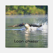 Loon chaser Magnet (Vorne)