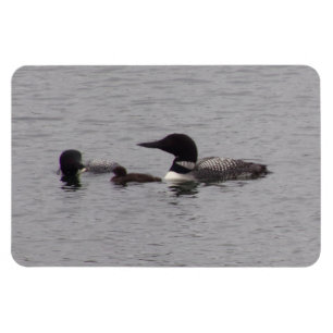 Loon Family am See Flexible Magnet