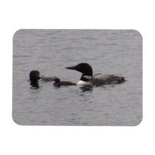 Loon Family Flexible Foto Magnet