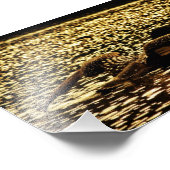 Loon Fotodruck (Ecke)