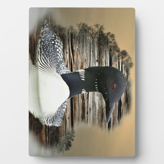 Loon Fotoplatte (Vorderseite)