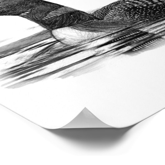 Loon Lake Poster (Ecke)