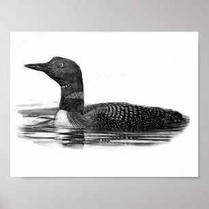 Loon Lake Poster