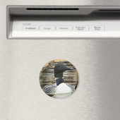 Loon Magnet (In Situ (Geschirrspüler))