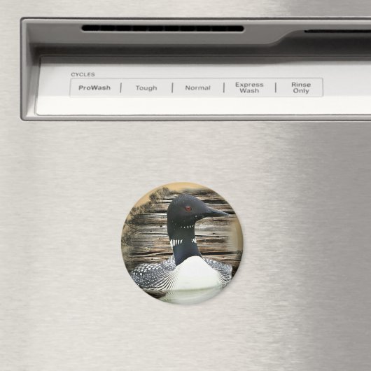 Loon Magnet (In Situ (Geschirrspüler))