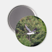 Loon Magnet (Vorderseite/Rückseite)