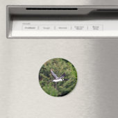 Loon Magnet (In Situ (Geschirrspüler))