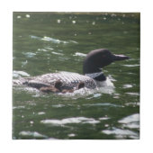 Loon mit Babys 2 Fliese (Vorderseite)