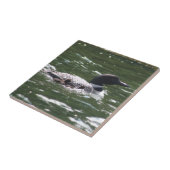Loon mit Babys 2 Fliese (Seite)