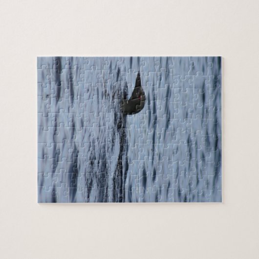 Loon Puzzle (Horizontal)