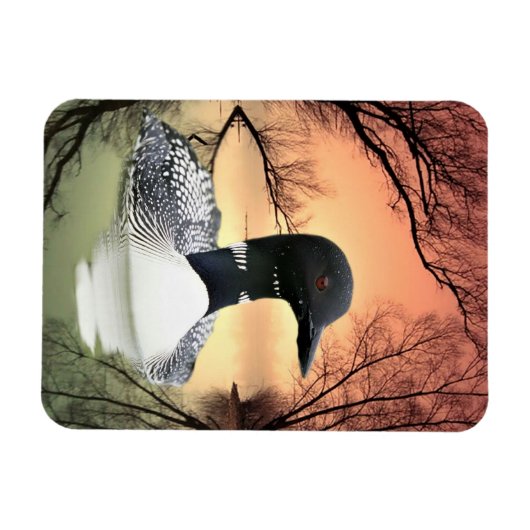 Loon Reflections Magnet (Horizontal)