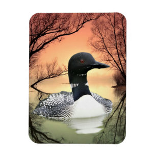 Loon Reflections Magnet