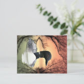 Loon Reflections Postkarte (Stehend Vorderseite)