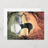 Loon Reflections Postkarte (Vorne/Hinten)