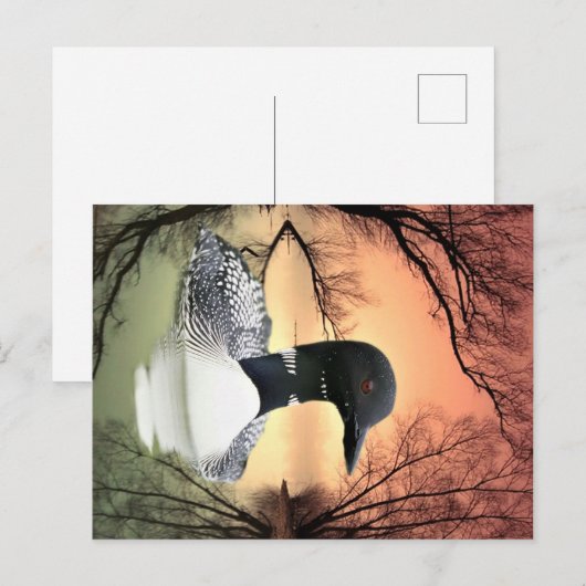 Loon Reflections Postkarte (Vorne/Hinten)