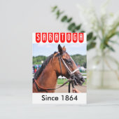 Loon River Gets a Cold Sponging Postkarte (Stehend Vorderseite)