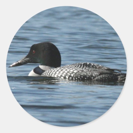 Loon Stickers (Vorderseite)
