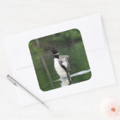 Loon Stickers (Umschlag)