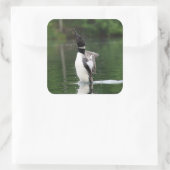 Loon Stickers (Tasche)