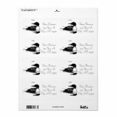 Loon Swimming Bird Art Thunder_Cove (Vorne)