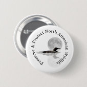 Loon Swims im Button Mondlicht (Vorne & Hinten)