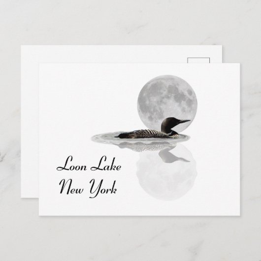 Loon Swims im Mondlicht Postkarte (Vorne/Hinten)