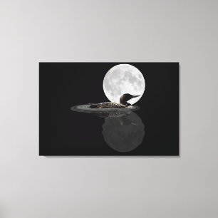 Loon Swims in der Moonlight Leinwand drucken
