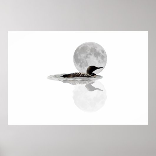 Loon Swims in Mondlicht-Poster Poster (Vorne)