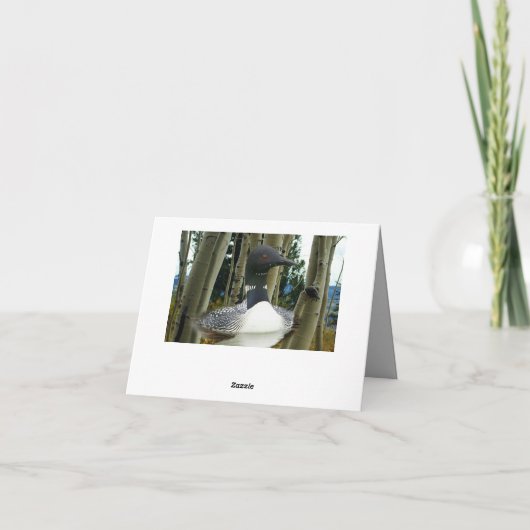 Loon Wilderness (Rückseite)