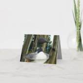 Loon Wilderness (Vorderseite)