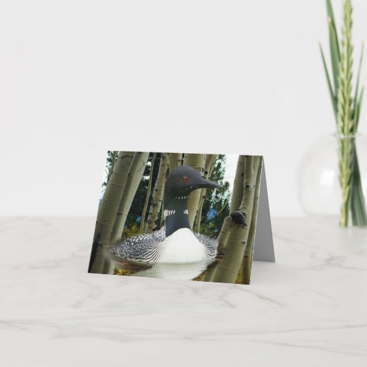 Loon Wilderness (Vorderseite)