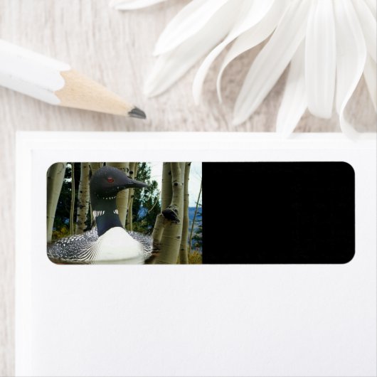 Loon Wilderness (Insitu)