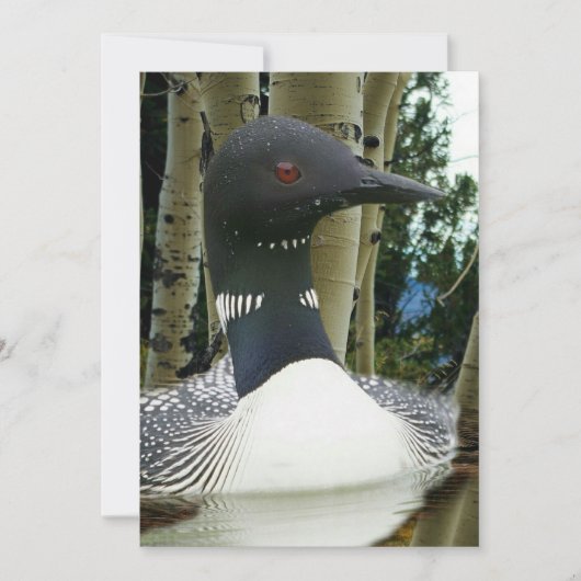 Loon Wilderness Einladung (Vorderseite)
