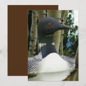 Loon Wilderness Einladung (Vorne/Hinten)