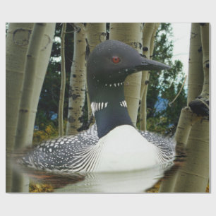 Loon Wilderness Geschenkpapier