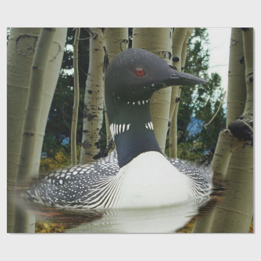 Loon Wilderness Geschenkpapier (Flach)