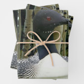 Loon Wilderness Geschenkpapier Set (Beispiel)