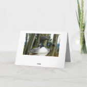 Loon Wilderness Karte (Rückseite)