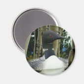 Loon Wilderness Magnet (Vorderseite/Rückseite)