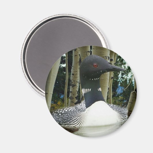 Loon Wilderness Magnet (Vorderseite/Rückseite)