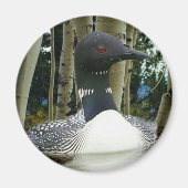 Loon Wilderness Magnet (Vorne)