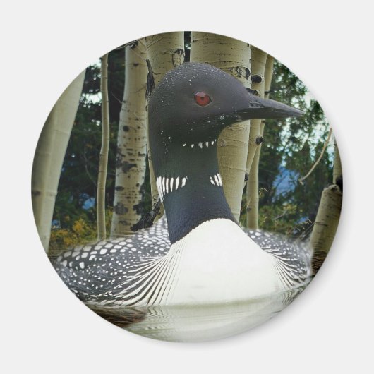 Loon Wilderness Magnet (Vorne)