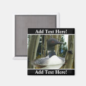 Loon Wilderness Magnet (Vorderseite/Rückseite)