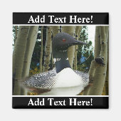 Loon Wilderness Magnet (Vorne)