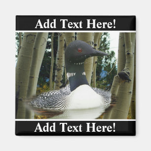 Loon Wilderness Magnet