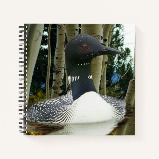 Loon Wilderness Notizblock (Vorderseite)
