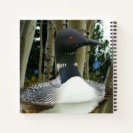 Loon Wilderness Notizblock (Rückseite)