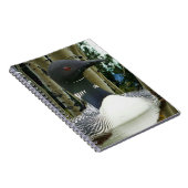 Loon Wilderness Notizblock (Rechte Seite)