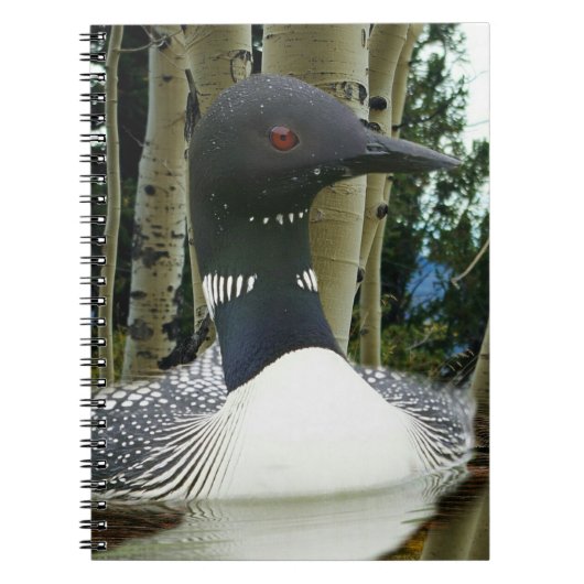 Loon Wilderness Notizblock (Vorderseite)